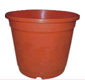 pots-image